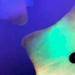 Mabebi MBB-LSK2 - Lichtgevende Ster Kussen - Knuffel - Slapen - Kussen Met Licht -Goedkope muziekmobielen winkel 471x840 1