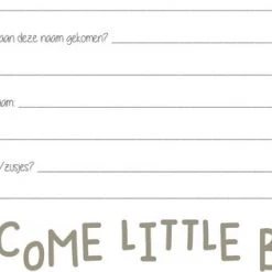 JeP Kids Jep-Kids Oudgroen Babyboek 190801 45 JeP Kids Jep-Kids Oudgroen Babyboek 190801 -Goedkope muziekmobielen winkel 550x315