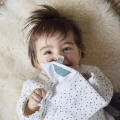 Snoozebaby Ontdekboekje -met Knisper - Ideaal Voor In De Buggy - Makkelijk Te Bevestigen. -Goedkope muziekmobielen winkel 550x366 31