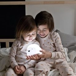 Flow Amsterdam - Björn Projector - Oplaadbaar - 6 Standen - Optionele 30 Minuten Timer -Goedkope muziekmobielen winkel 550x366 61