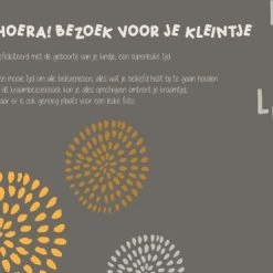 Onbekend Jep-Kids Donkergrijs Kraambezoekboek 190803 -Goedkope muziekmobielen winkel 550x370 1