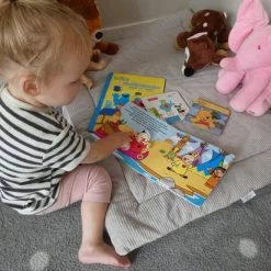 Disney Kinderboeken Pakket 1 T/m 3 Jaar - Voordeelbundel Van 4 Boeken - Voorleesboek - Flapjesboek Bumba - Kartonboekjes -Goedkope muziekmobielen winkel 550x412 7