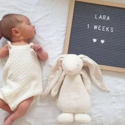 Moonie The Humming Friend Powder -Goedkope muziekmobielen winkel 550x412 80