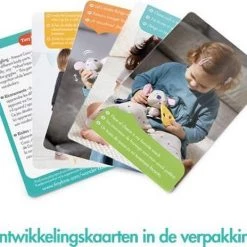 Tiny Love Wonder Buddies - Coco Muis -Goedkope muziekmobielen winkel 550x464 1