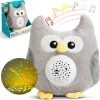 Bewello Uil Sterrenhemel Projector Met Muziek En White Noise Op Batterijen - LED Projector Lamp Baby En Kinderen - Kinderlamp - Projector Nachtlampje - Muziek Nachtlampje - Sterrenprojector Voor Kinderkamer -Goedkope muziekmobielen winkel 550x550 416