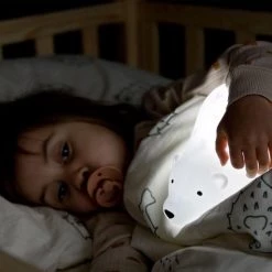 Flow Amsterdam - Björn Projector - Oplaadbaar - 6 Standen - Optionele 30 Minuten Timer -Goedkope muziekmobielen winkel 550x550 418