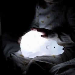 Flow Amsterdam - Björn Projector - Oplaadbaar - 6 Standen - Optionele 30 Minuten Timer -Goedkope muziekmobielen winkel 550x550 420