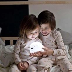 Flow Amsterdam - Björn Projector - Oplaadbaar - 6 Standen - Optionele 30 Minuten Timer -Goedkope muziekmobielen winkel 550x550 421