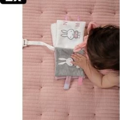 2x Nijntje Buggyboekje Met Ribstof Roze -Goedkope muziekmobielen winkel 550x662 2