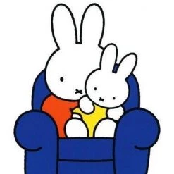 Dick Bruna Nijntje Kleine Pluis -Goedkope muziekmobielen winkel 550x746