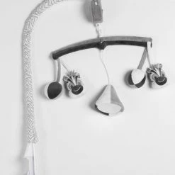 Steff - Zebra - Muziek Mobiel